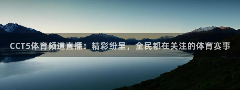 CCT5体育频道直播：精彩纷呈，全民都在关注的体育赛事