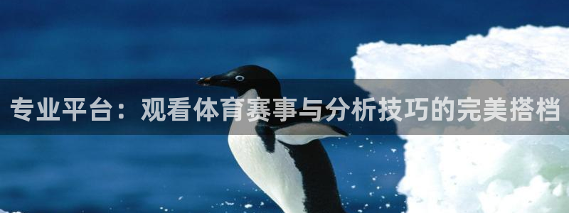 专业平台：观看体育赛事与分析技巧的完美搭档