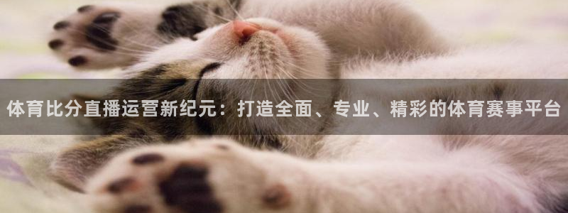 体育比分直播运营新纪元：打造全面、专业、精彩的体育赛事平台