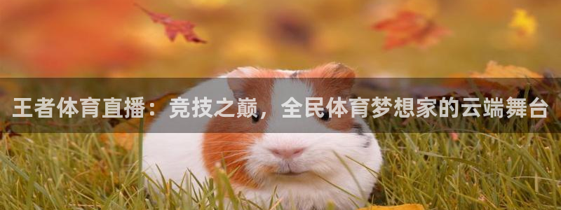 王者体育直播：竞技之巅，全民体育梦想家的云端舞台
